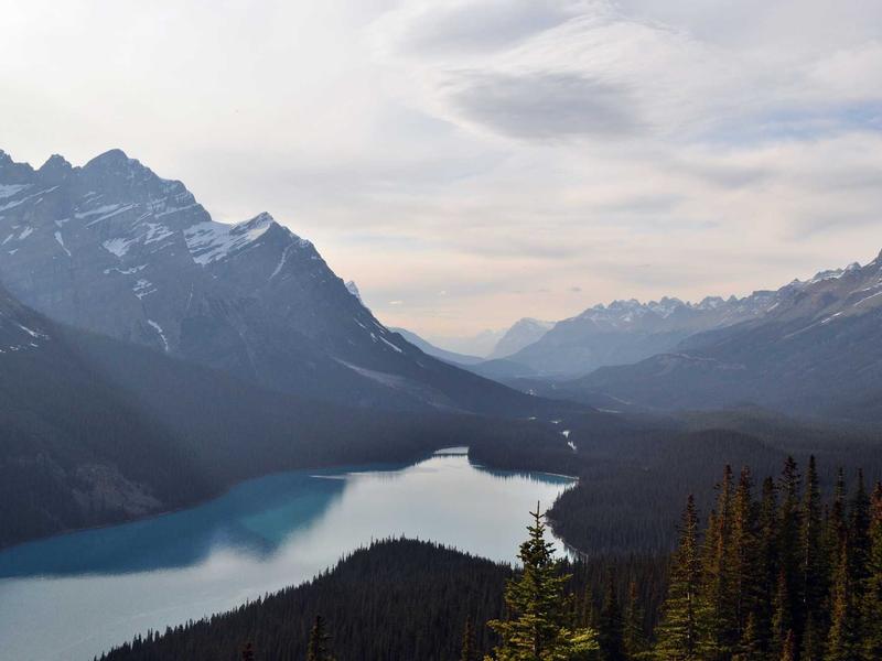 cf爱拍陈子豪个人空间 cf爱拍陈子豪个人空间