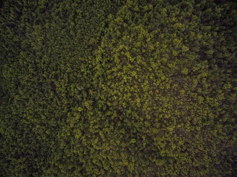 免费加速器哪个好 免费加速器哪个好