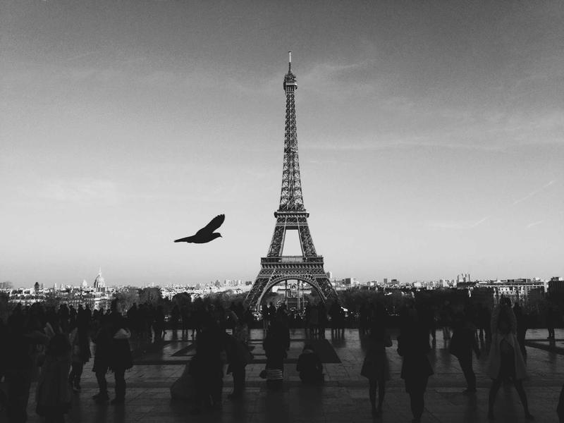 当“95598”遇上腾讯：一场关于客服认知错位与用户权益的深度观察