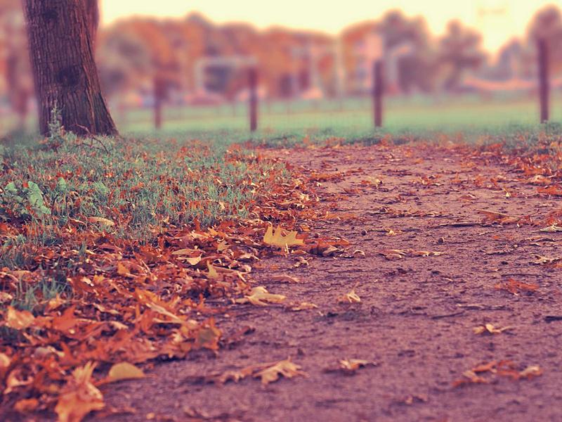 SCUM玩腻了？这10款硬核生存游戏，让你体验更极致的真实感