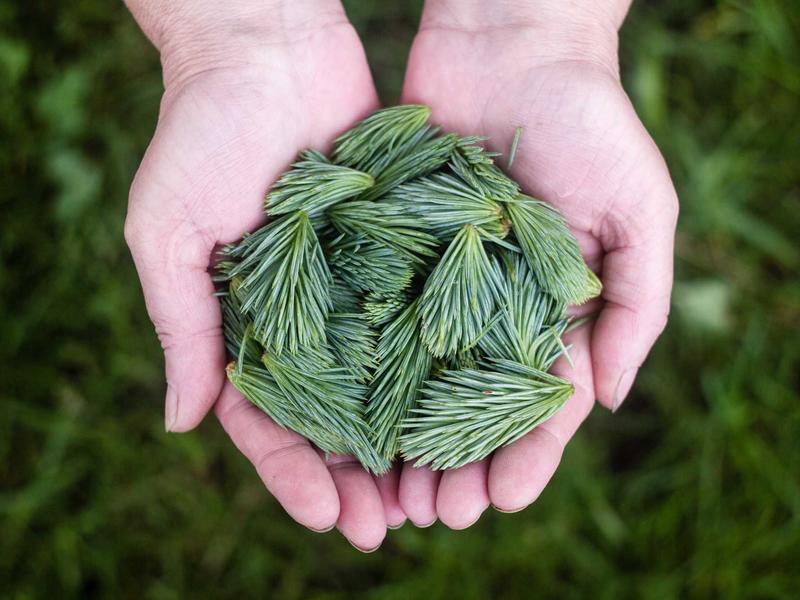 迷你世界体验服最新版重磅上线：全新内容抢先看，测试资格获取攻略全解析