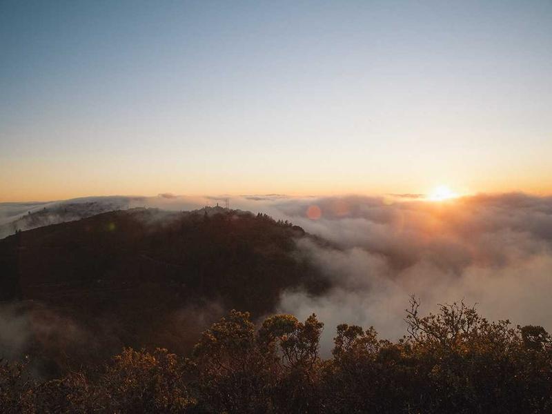 全球废物危机：最新快讯揭示挑战与创新解决方案（2025年3月特辑）
