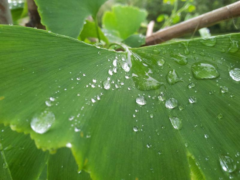 500钻石永久激活码：一场数字狂欢背后的游戏生态冷思考